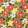 SIENNA FLORAL