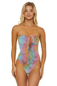 Ombre Burnout One Piece Swimsuit