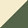 KELP/TAN
