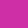 WILD ORCHID