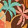 COCOA COAST