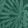 EMERALD GROVE