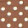 MOCHA DOT