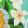 GARDEN OF LIFE MULTICOLOR