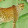 CHEETAH PALM