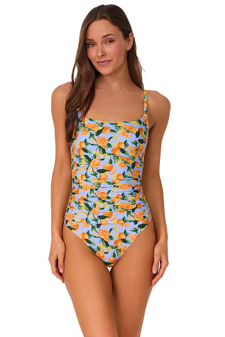 CLEMENTINE Pamela Shirred One Piece Swimsuit