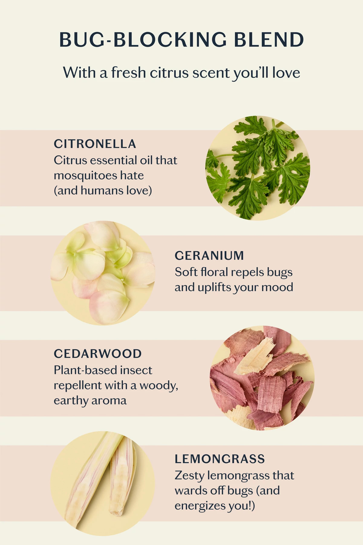 WHITE The Bug Balm image number 4