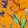 WILD BLOOM