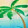 BAHAMA BREEZE