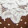BROWN DOT