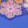 PERIWINKLE