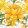 SICILY OFF WHITE
