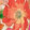 SPRING AFFAIR BEIGE