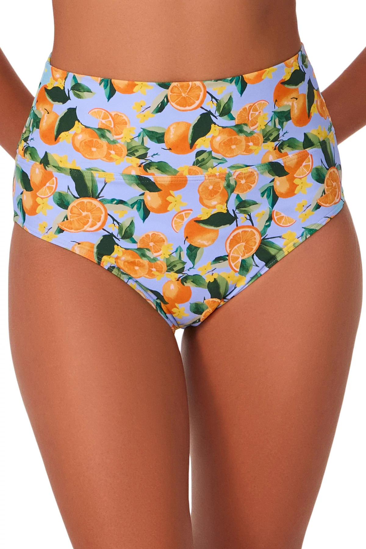 CLEMENTINE Hannah High Waist Bikini Bottom image number 1