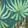 MIND JUNGLE