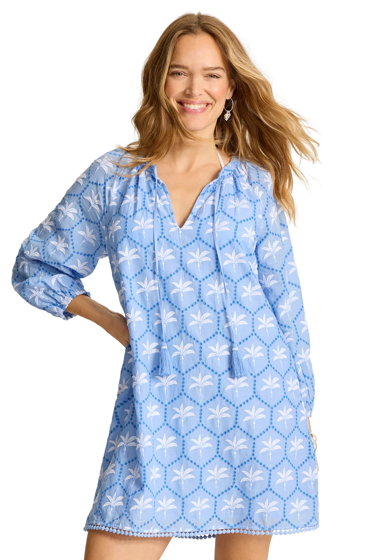 BLUE PARROT Chambray Palm Embroidery Mini Dress image number 1
