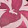 PAINTERLY FLORAL