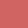 TEA ROSE