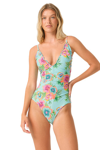 SOLANA Penelope Embroidered Plunge One Piece