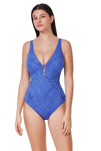 HAMPTON BLUE Skyfall Plunge One Piece Swimsuit