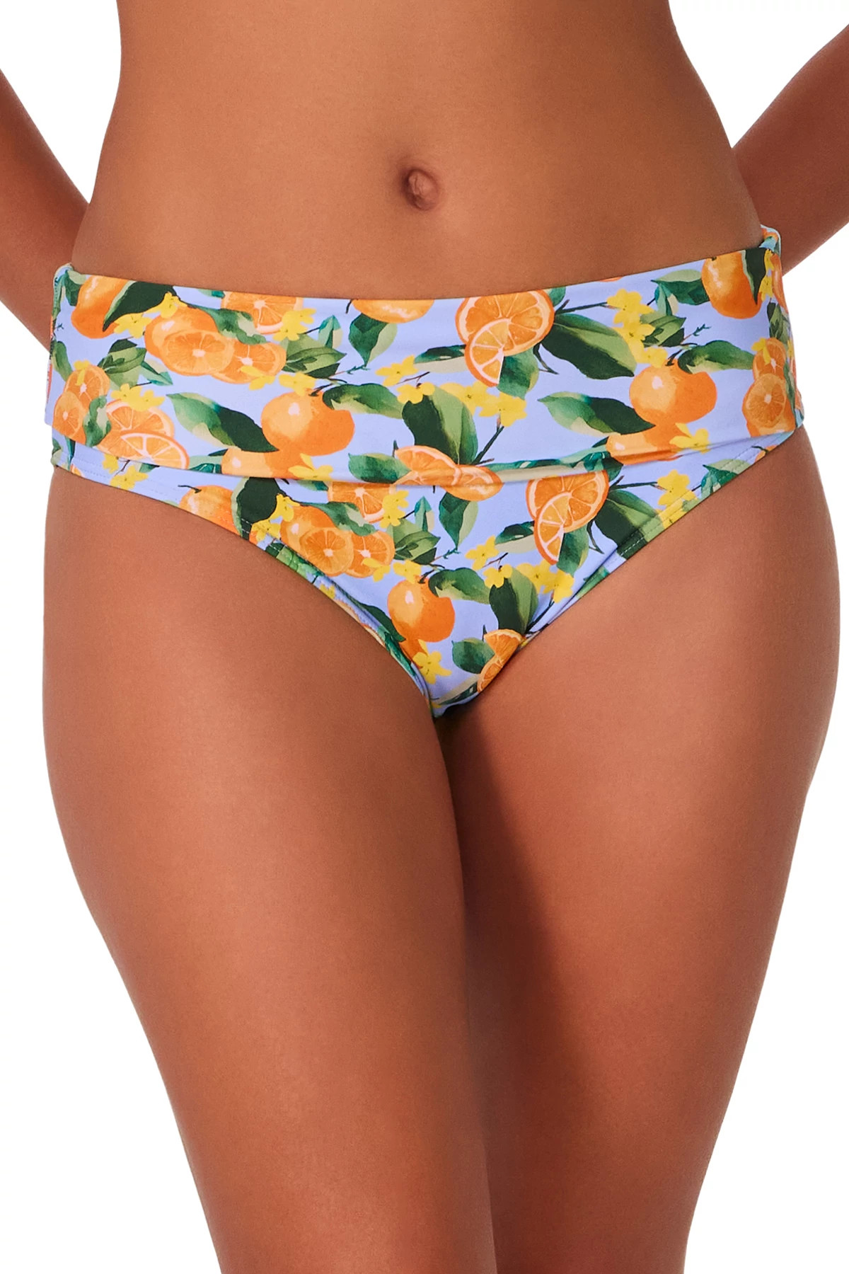 CLEMENTINE Hannah High Waist Bikini Bottom image number 2