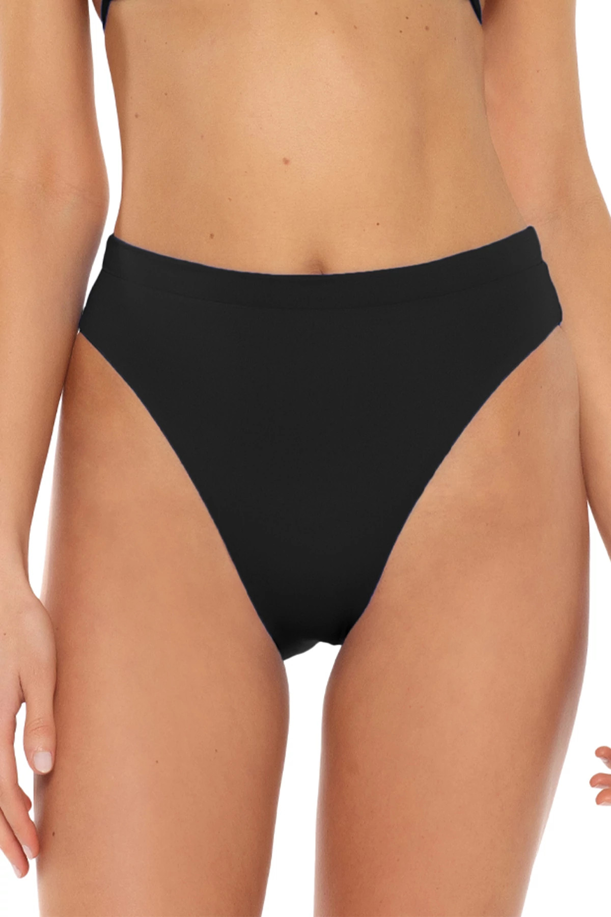BLACK Danielle Banded High Waist Bikini Bottom image number 1