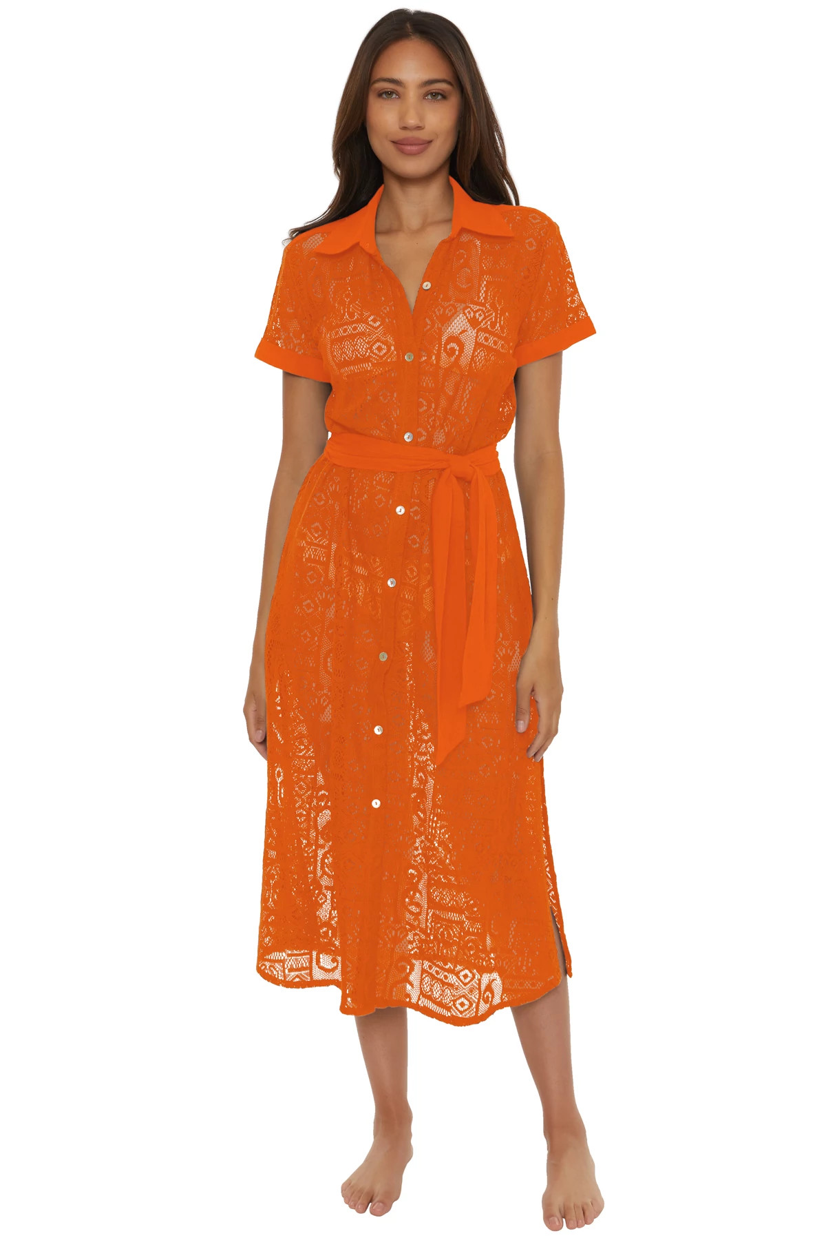 CARROT Gauzy Lace Midi Dress image number 1