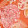 MANDARINA TANGERINE