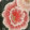 POPPY INDIGO