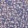 LILAC FIELD FLOWER