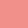 SUN CORAL