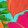 SPRING AFFAIR TURQUOISE
