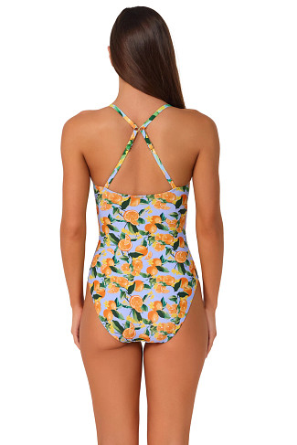 CLEMENTINE Pamela Shirred One Piece Swimsuit