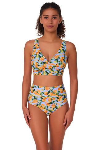 CLEMENTINE Elsie Underwire Bikini Top (D+ Cup)